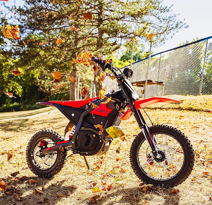 IN10 Electric Mini Dirt Bike for Teens & Adults, 14"/12" Fat Tire 2600W Electric-Motorcycle with 48V 23AH Battery Ebike 40MPH Hydraulic Brakes Mountain Off-Road EBike, Fit Age 13+