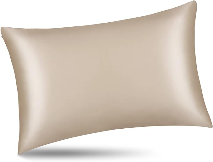 ALASKA BEAR Natural Silk Pillowcase, Hypoallergenic, 19 Momme, 600 Thread Count 100 Percent Mulberry Silk, Standard Size with Hidden Zipper (1,Champagne Gold)
