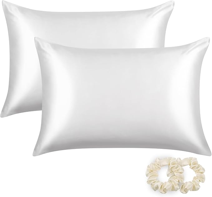 ALASKA BEAR Silk Pillowcase for Hair and Skin, Set of 2 Pure Genuine 22 Momme Mulberry Silk Pillow Cases Standard Size for Bliss Sleep Better Than Poly Satin, Zipper Closure(2pc, Cool White)