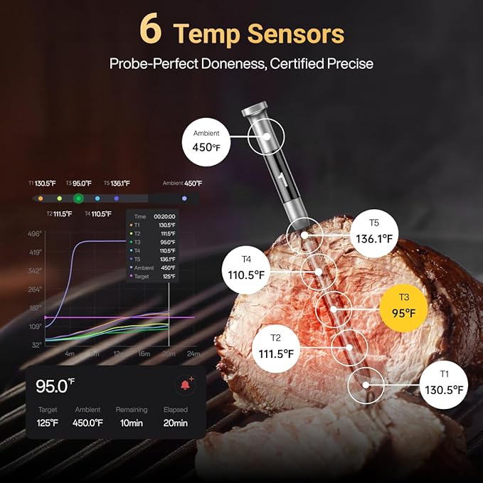 Typhur Sync Dual Gen 2 WiFi Wireless Meat Thermometer, 2 Probes, Smart Base, LCD Display, Unlimited Range, Bluetooth 5.3, Improved Stability, NIST-Certified Accuracy, BBQ, Grill, Smoker, Oven