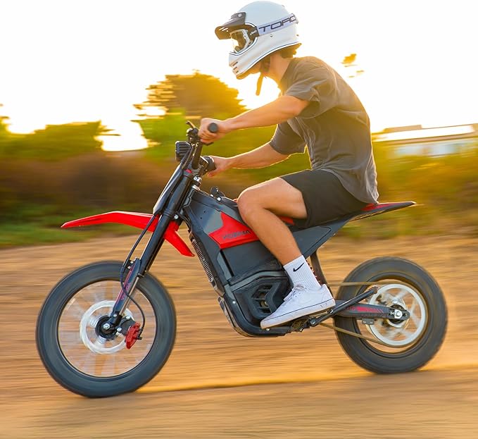 IN10 Electric Mini Dirt Bike for Teens & Adults, 14"/12" Fat Tire 2600W Electric-Motorcycle with 48V 23AH Battery Ebike 40MPH Hydraulic Brakes Mountain Off-Road EBike, Fit Age 13+