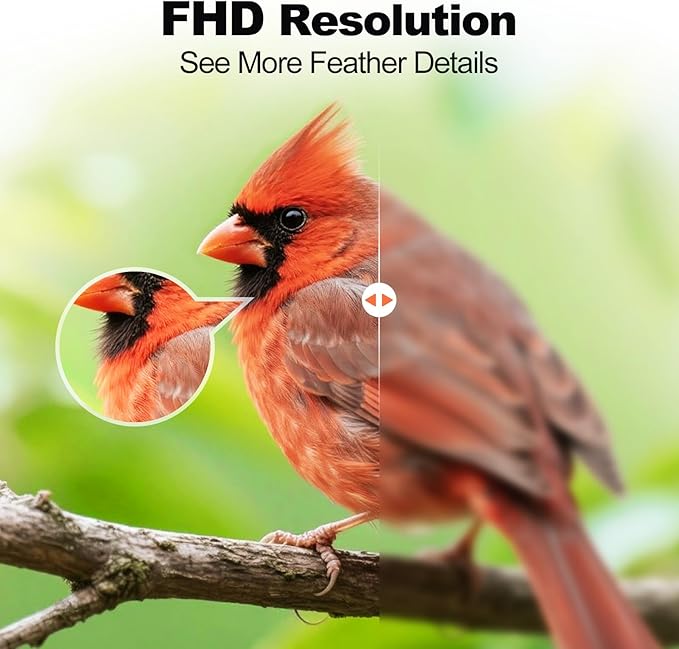 Bird Feeder with Camera,FHD Live View Video,Smart WiFi Bird Feeder Camera with Solar Panel,AI Birds Identification,IP65 Waterproof Birds House with Cam,Instant Arrival Alerts,Ideal Gift for Fathers