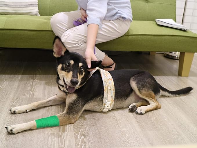 FRESINIDER 9 Rolls Self Adhesive Wrap Athletic Tape Gauze, Breathable Elastic Cohesive Bandage for Sports Injury & Pet (7 Pcs 2" x 5 Yards + 2 Pcs 1" X 5 Yards) (Green)