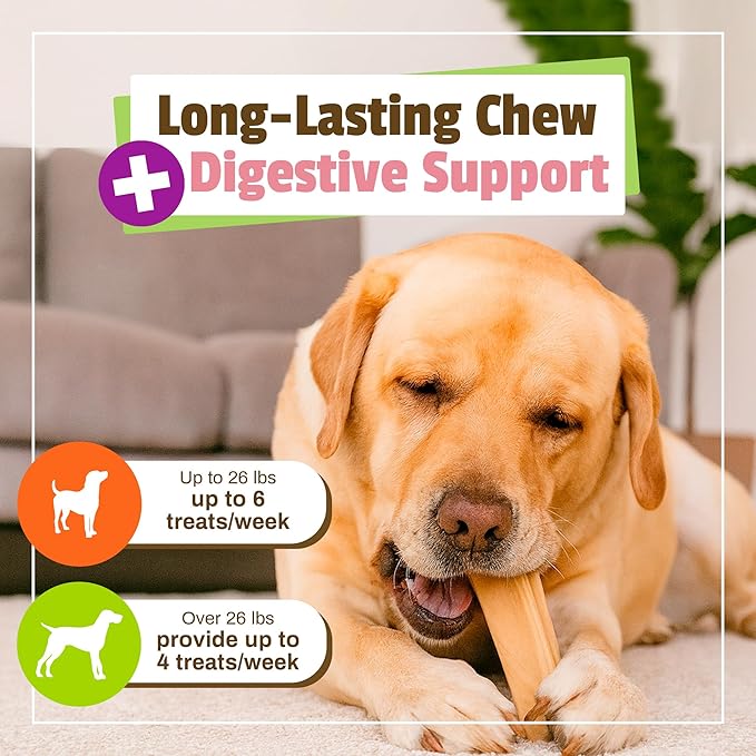 Pet Naturals BusyButter Balanced Belly Peanut Butter Bones, Rawhide-Free Chews for Medium/Large Dogs, Long Lasting Chew Bones, Probiotics & Pumpkin for Gut Health, 4 Count