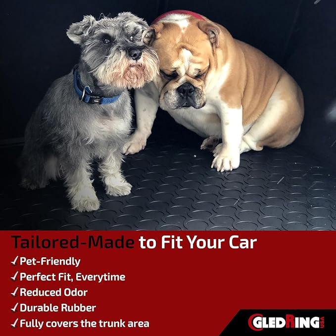 Gledring USA Custom Fit All-Weather Rubber Cargo Liner Intended for Ford Ecosport - 2018-2022, No Trimming Required, Tailored Custom Fit, Protects from Rain, Mud, and Snow.