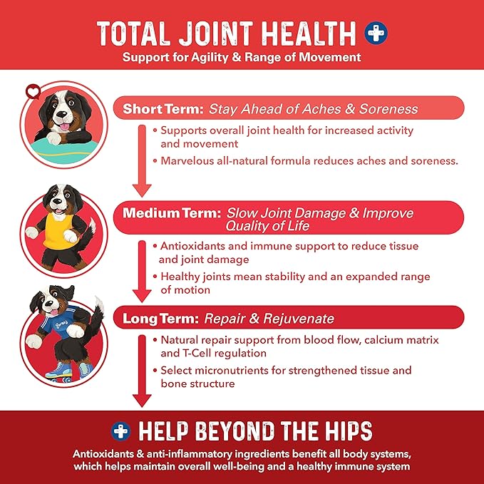 Bernie's Marvelous Mobility - Daily Total Joint Support for Dogs - 90 Soft Chews - Maintain & Rebuild Mobility, Supports Joint Tissue Health